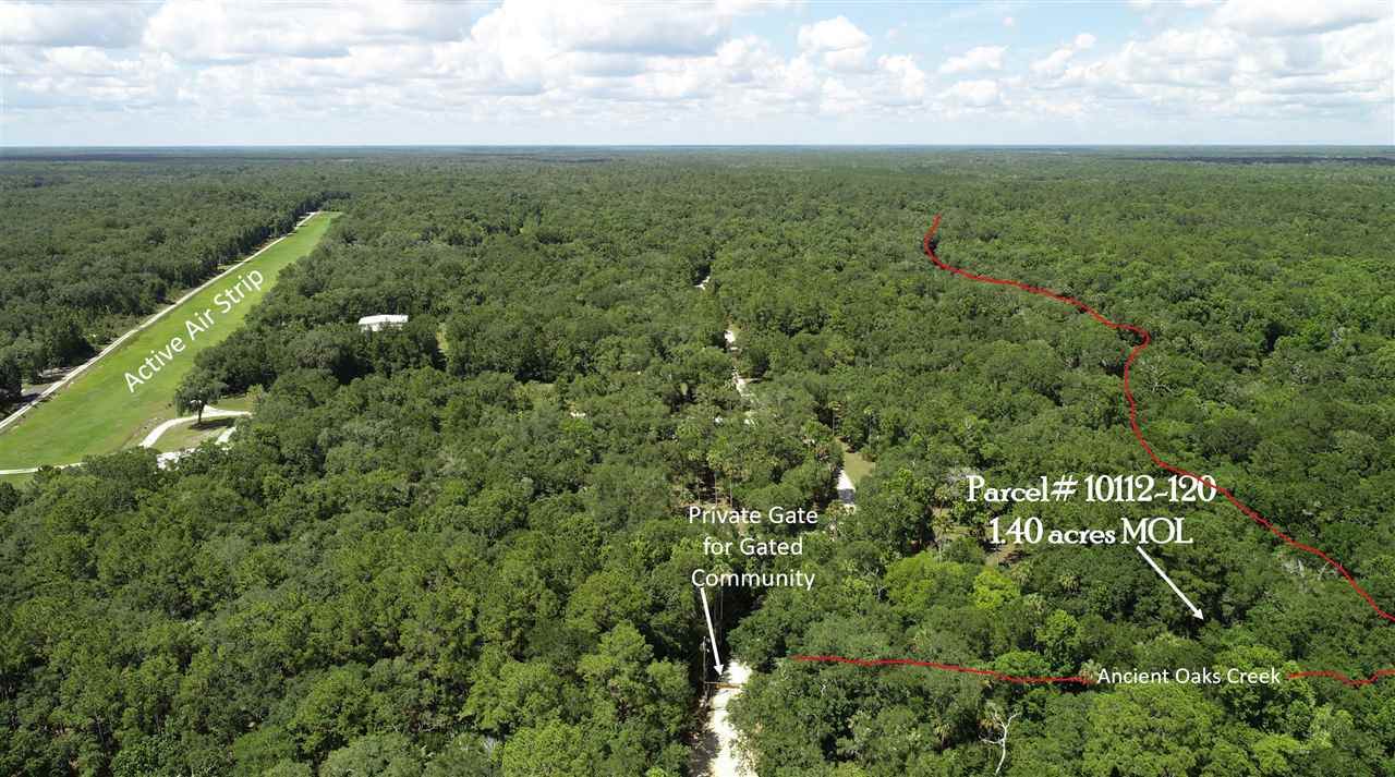Lot 1 Ancient Oaks Drive - Photo 1