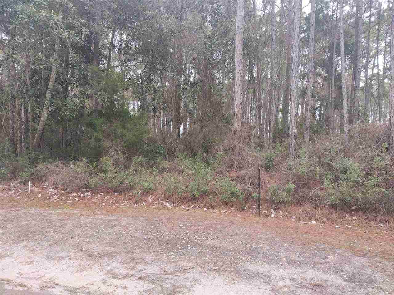 118 Royal Tern Way - Photo 1