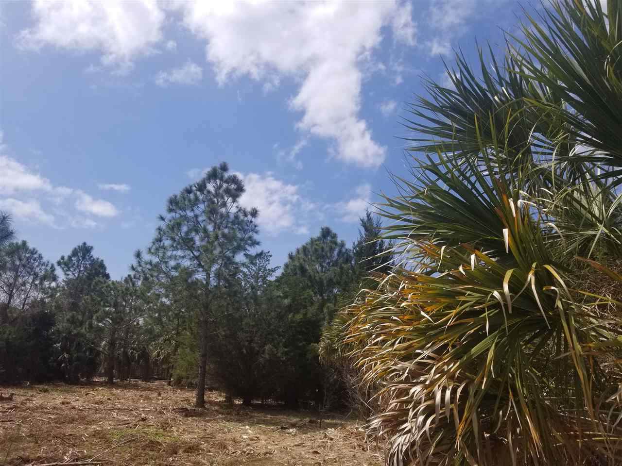 00 Egret To Osprey Street - Photo 1