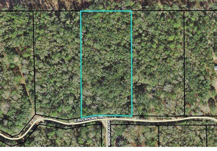 TBD Buckhorn Trail - Photo 1