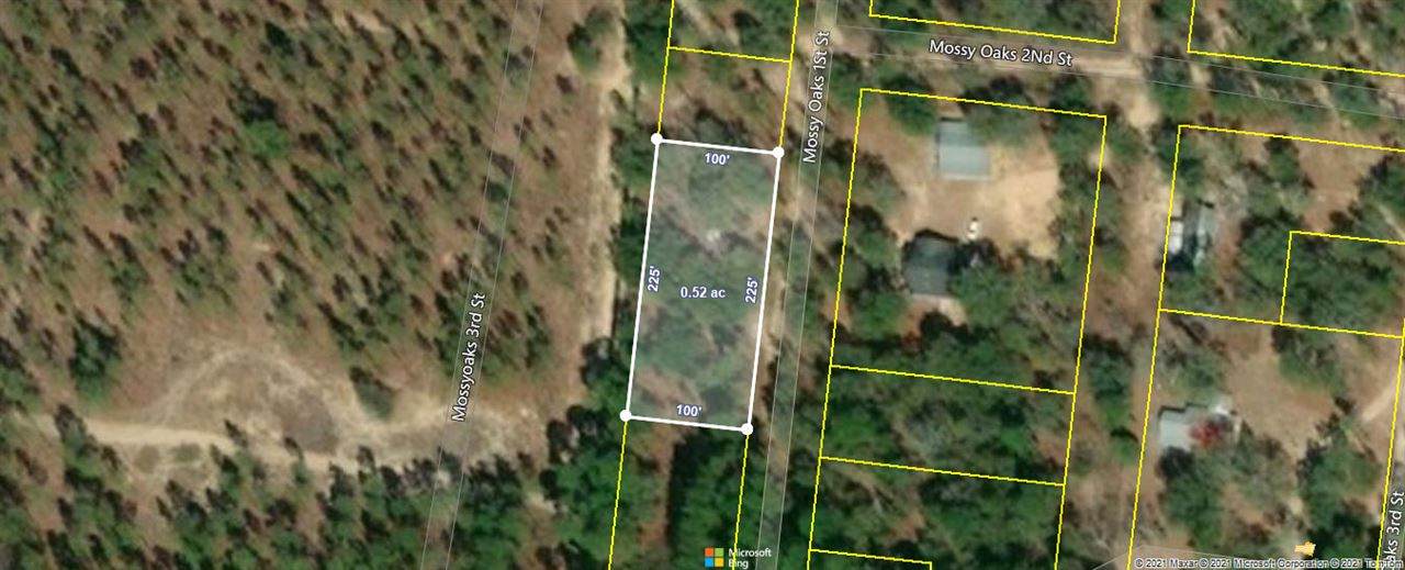 Lots 14, 15, 16 Mossy Oaks 1St Street - Photo 1