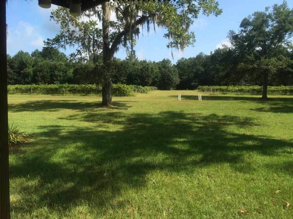 1211 Waukkeenah Highway - Photo 1