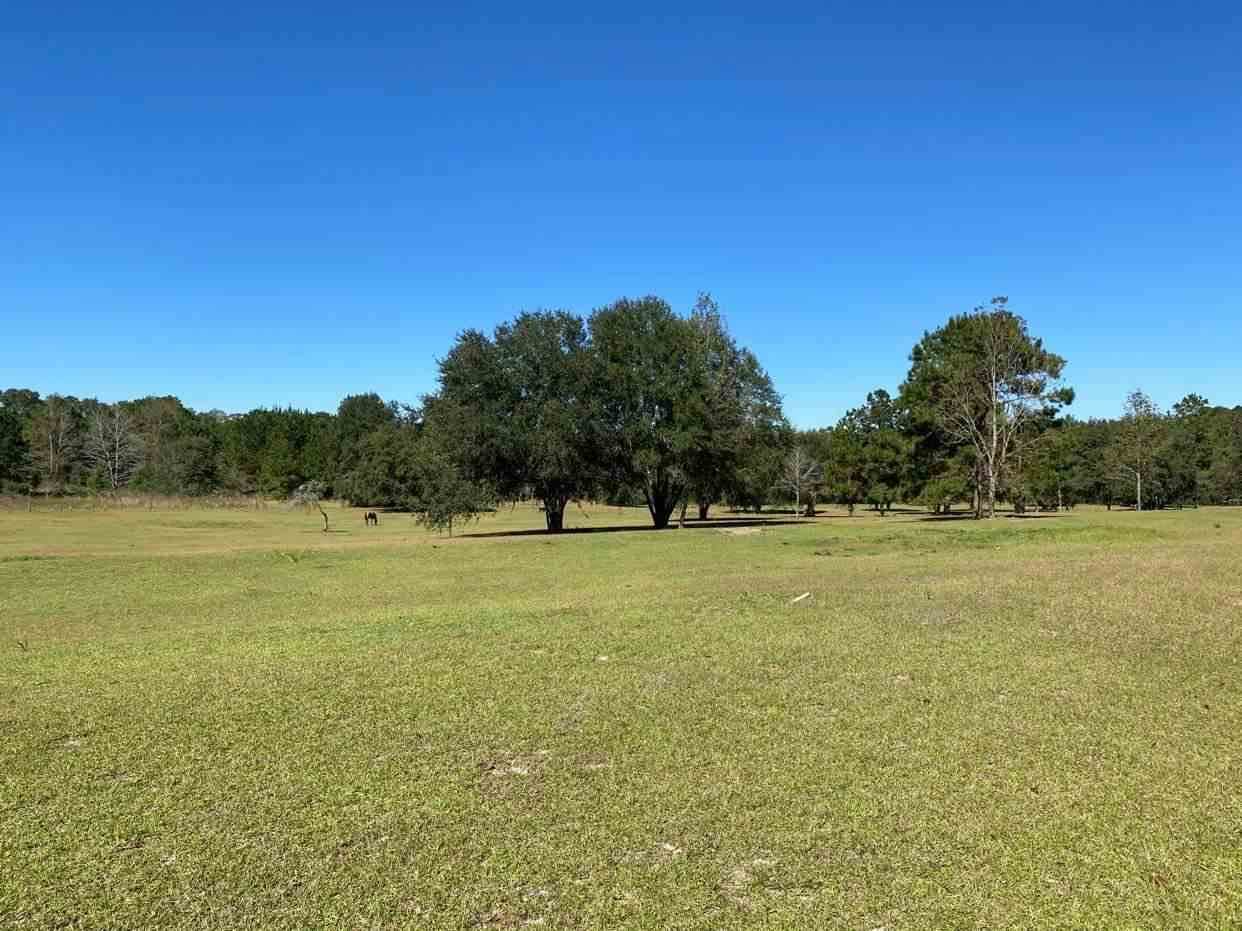 981 Radford Denson Road - Photo 1