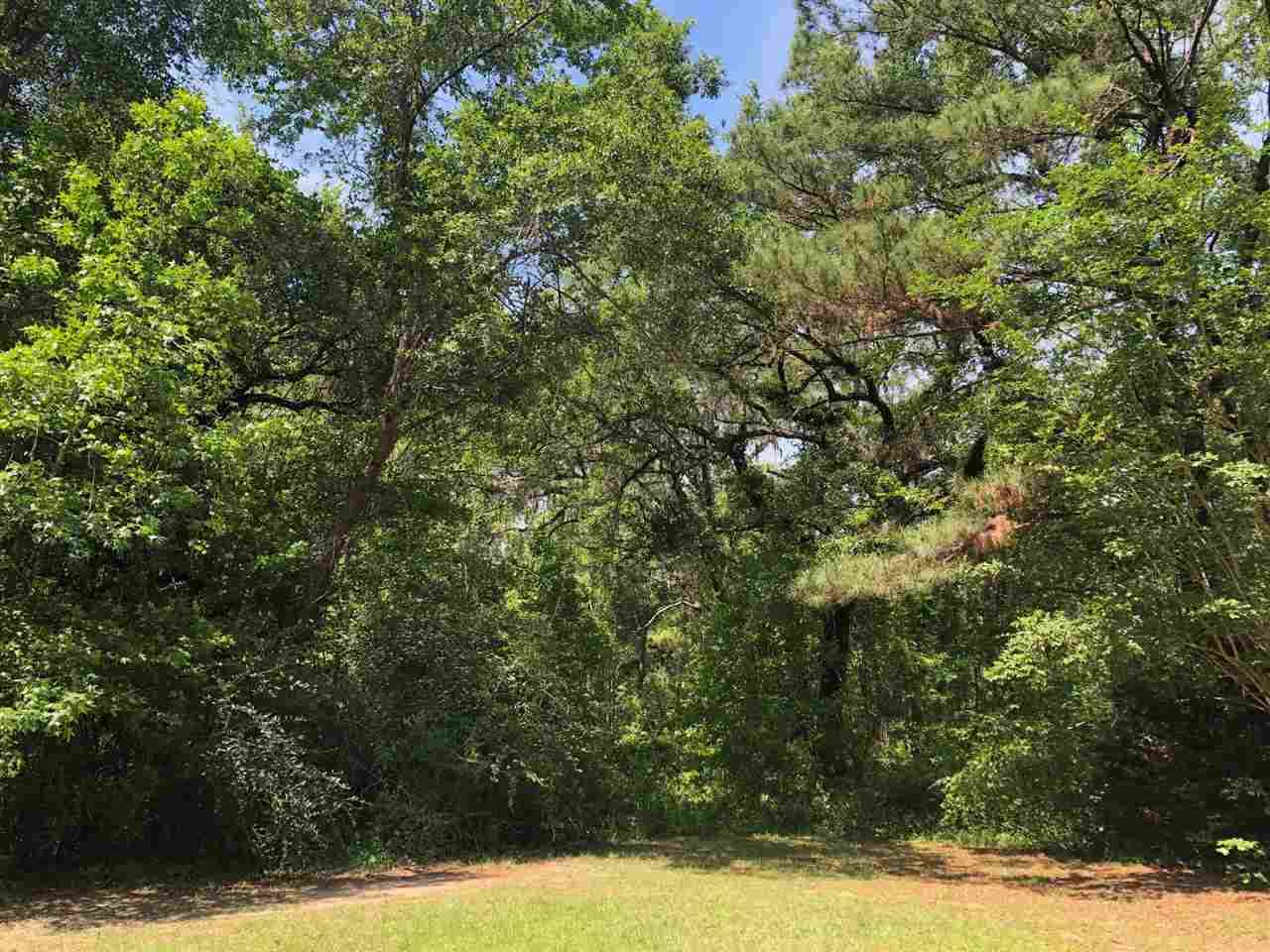 VACANT 1st Lane - Photo 1