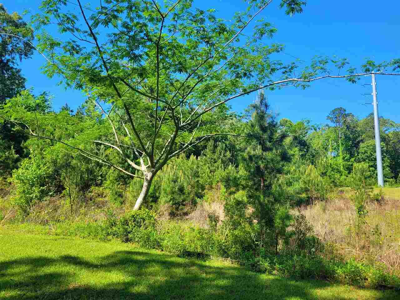 Hickory Woods Trail Lot 5 - Photo 1