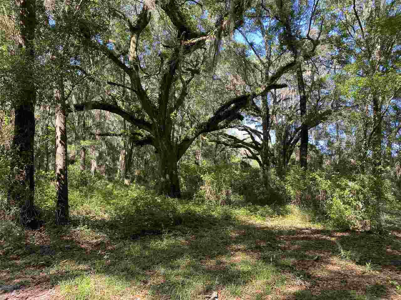 5582 H P Padgett Road - Photo 1