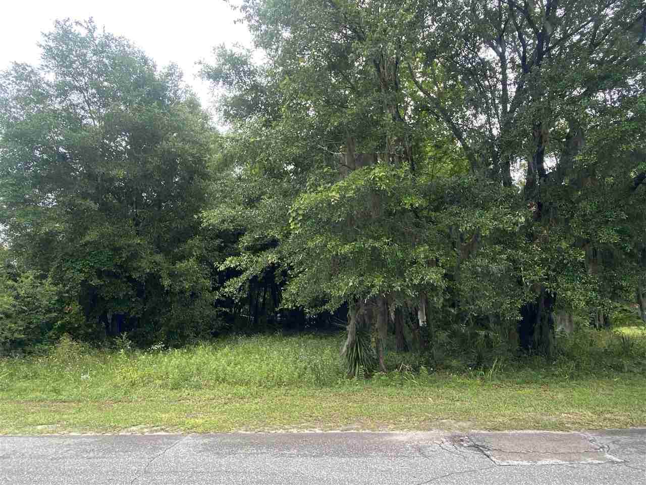 1304 Schwartz Street - Photo 1