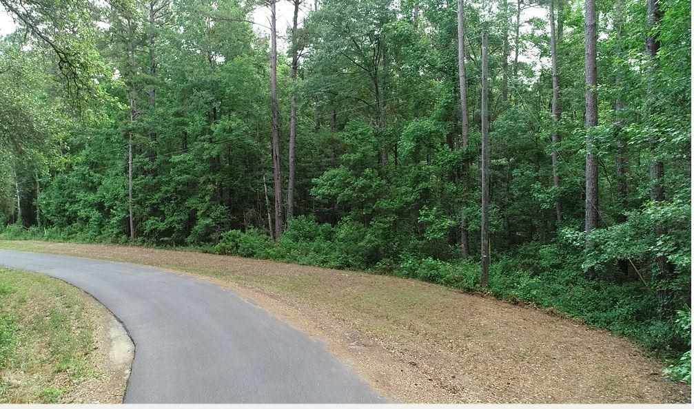 8640 Casa Bianca Road Common - Photo 1