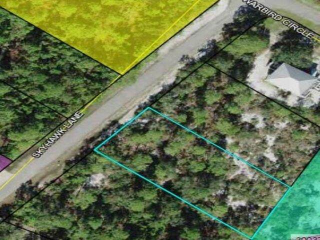 Skyhawk Lane - Photo 1