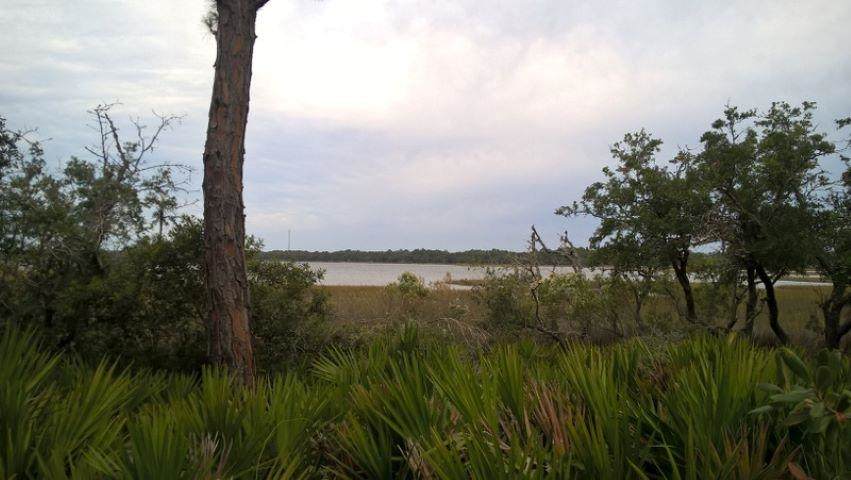 233 Hidden Harbor Drive - Photo 1