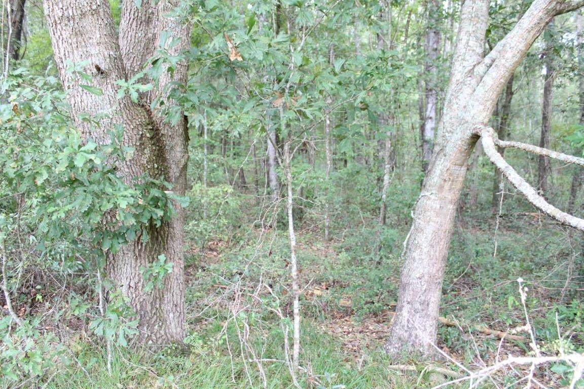 998 Bishop Farms Road - Photo 1