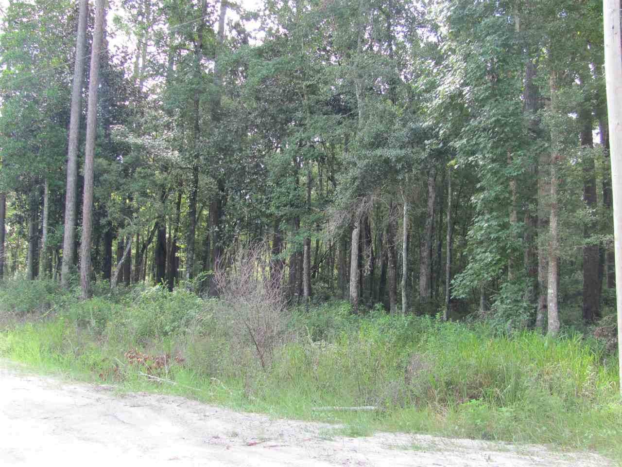 Williams Drive - Photo 1