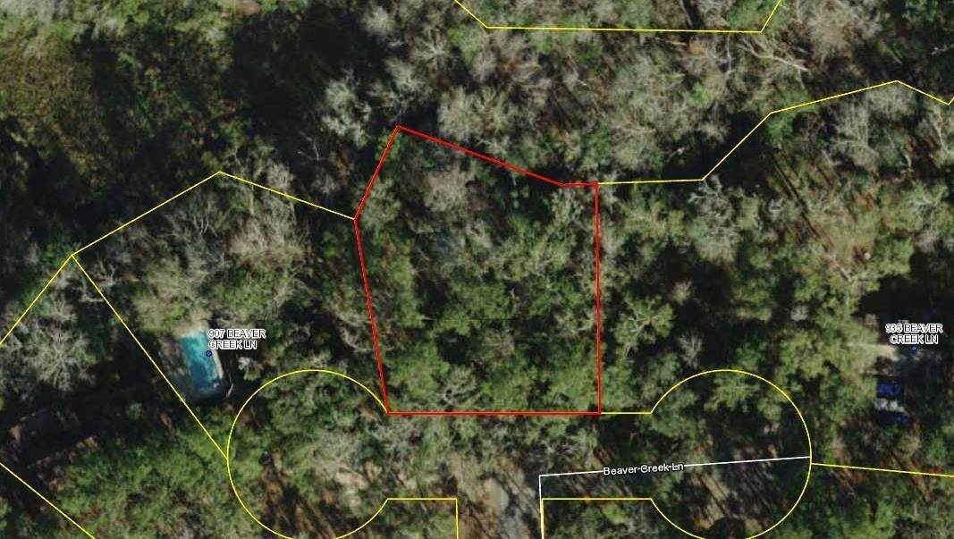 xx Beaver Creek Lane - Photo 1