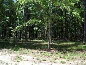 Crawfordville Hwy. - Photo 1