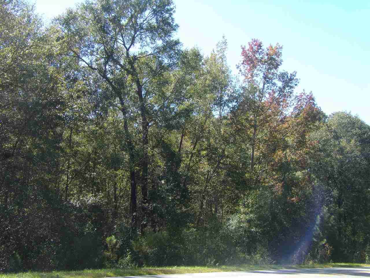13103 Capitola Road - Photo 1