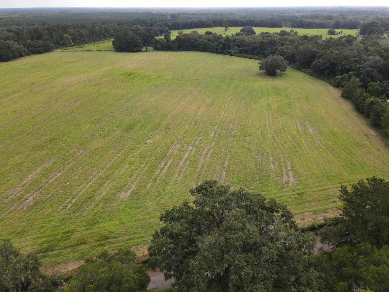 00 Sparks Rd Road - Photo 1