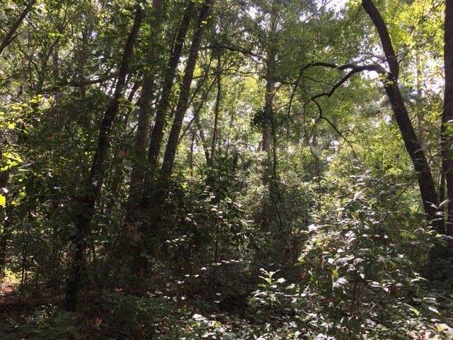 Lot 19-20 Pelican Lane - Photo 1