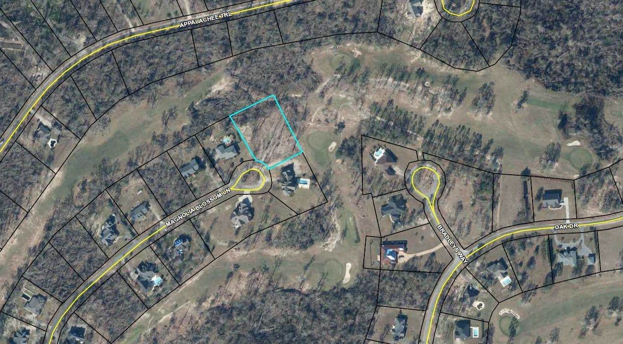 Lot 22 Block B Magnolia Blossom Lane - Photo 1