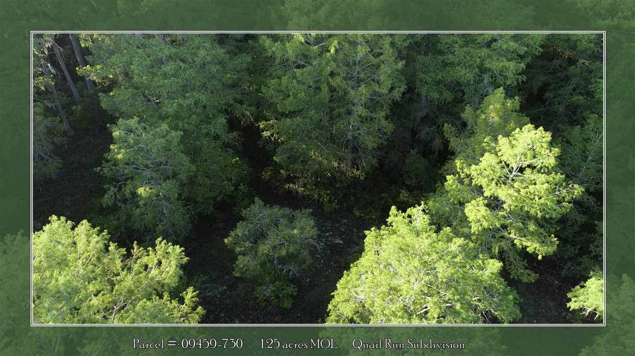 LOT 127 Oak Pond Circle - Photo 1