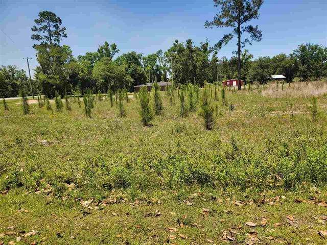 Lot 9 Azalea Street - Photo 1
