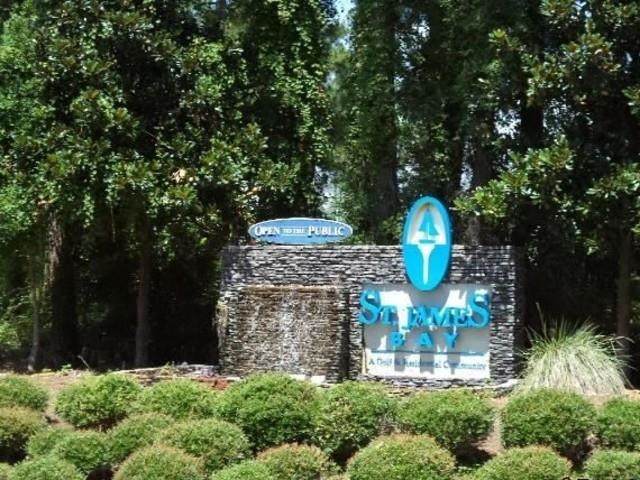 100 Green Heron Circle - Photo 1