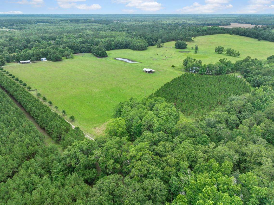 740 Kinsey Road - Photo 1