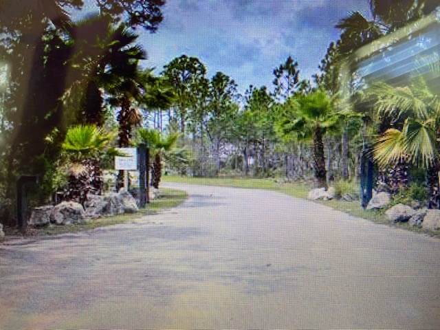 Lot 6 Fiddlers Trace - Photo 1