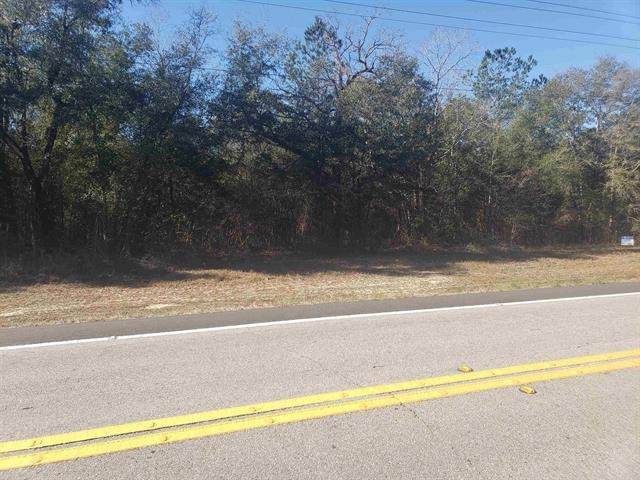 8282 High Bridge Road - Photo 1