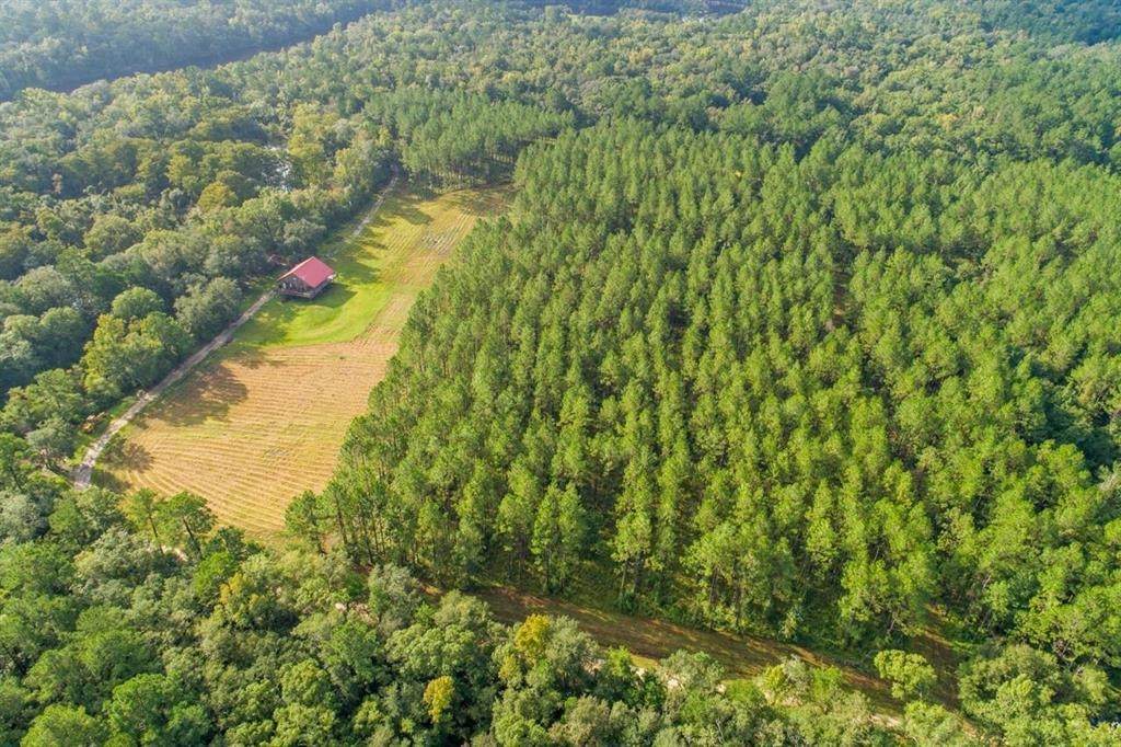 28409 Cub Dugger Road - Photo 1