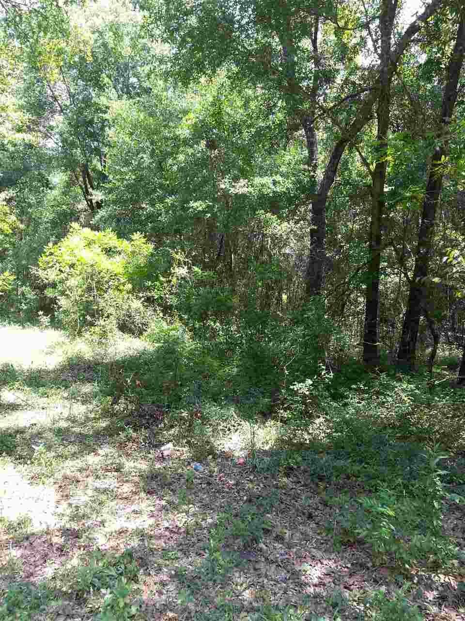 0 ROBINSON OAK DR - Photo 1