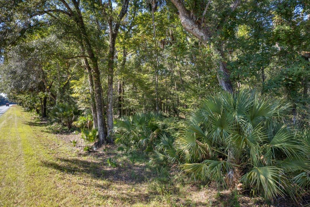 00 Vacant Hwy 98 W - Photo 1