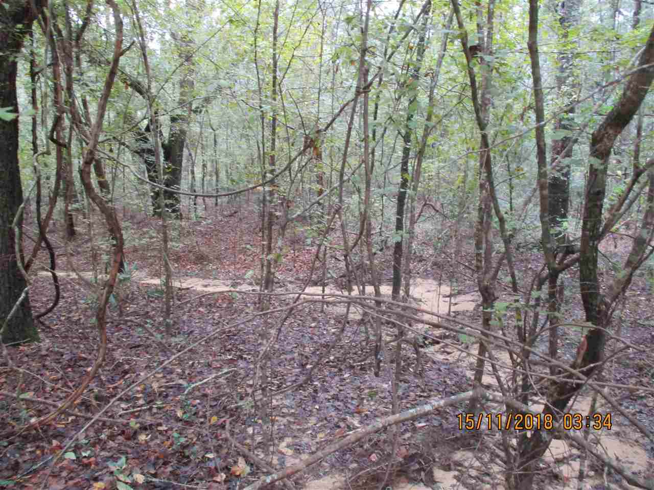 Vacant 11th - Photo 1