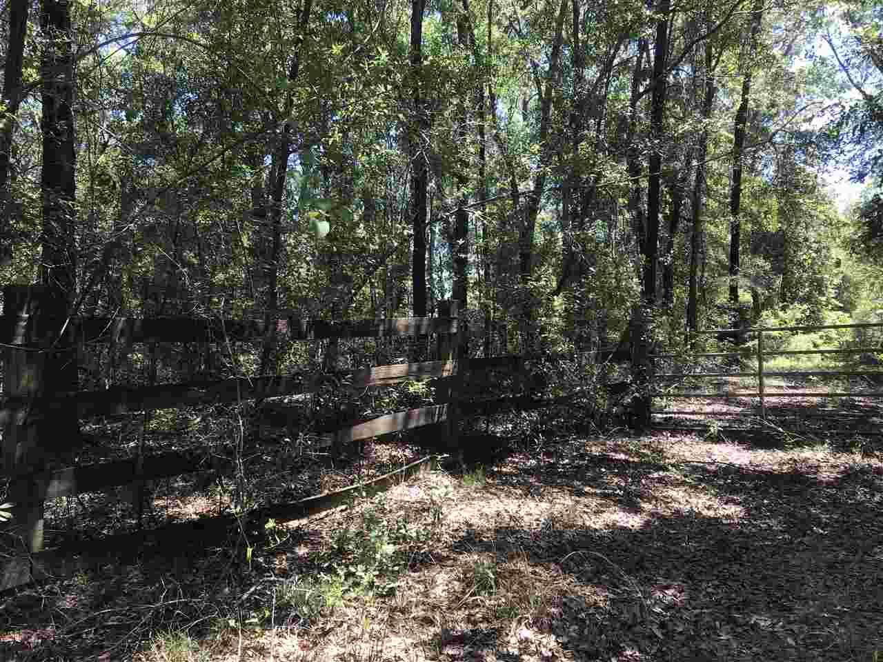 Lot 35 Williams Landing Road - Photo 1