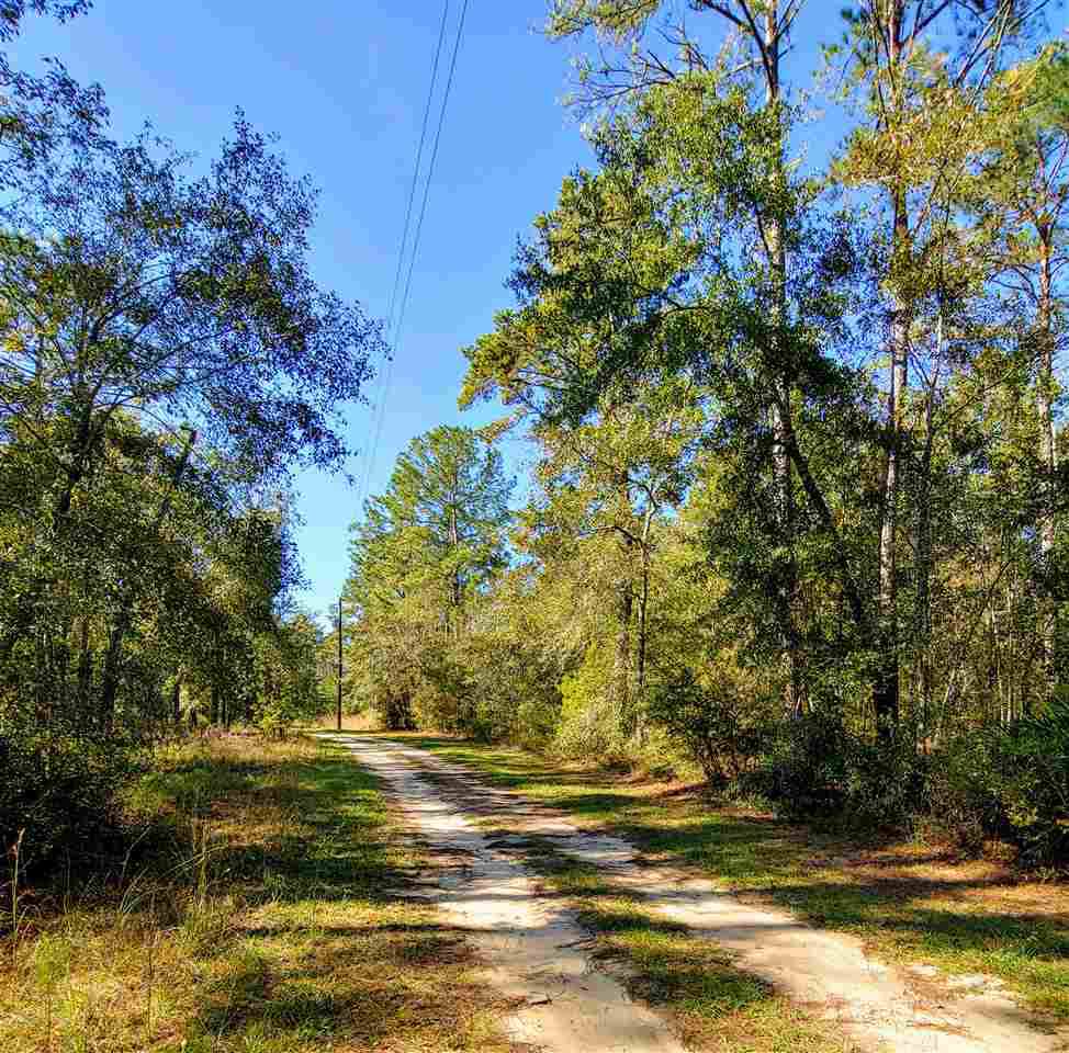 XXX Concord Rd - Photo 1