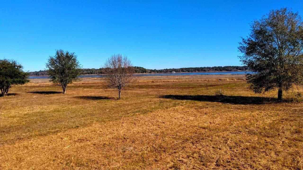 0 Shadyoaks Drive - Photo 1