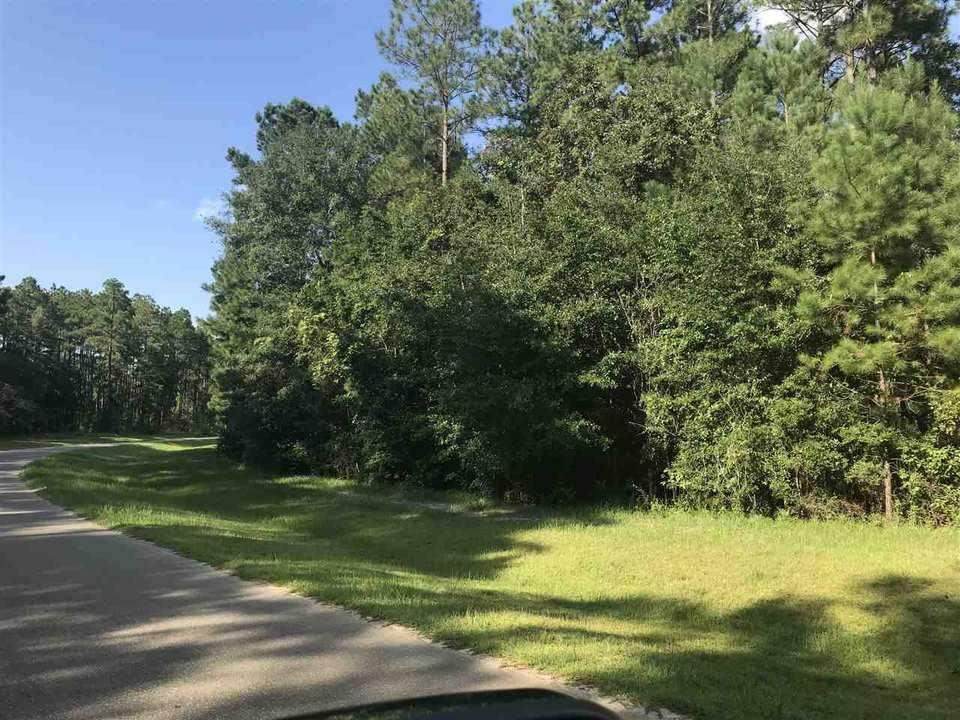 0 Proctor Road - Photo 1