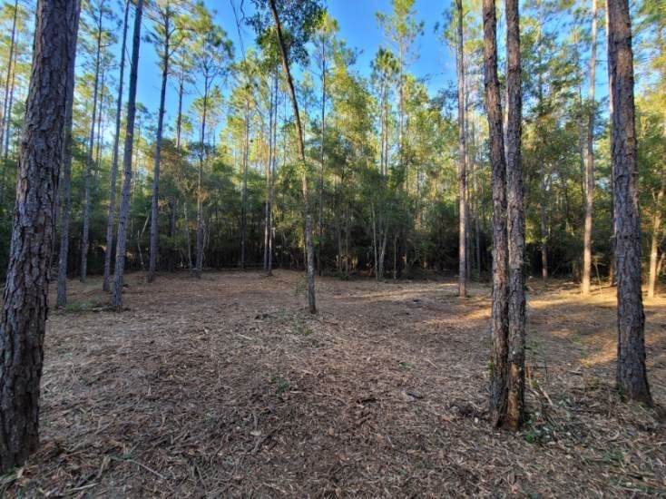 Lot 1 Tram Road - Photo 1