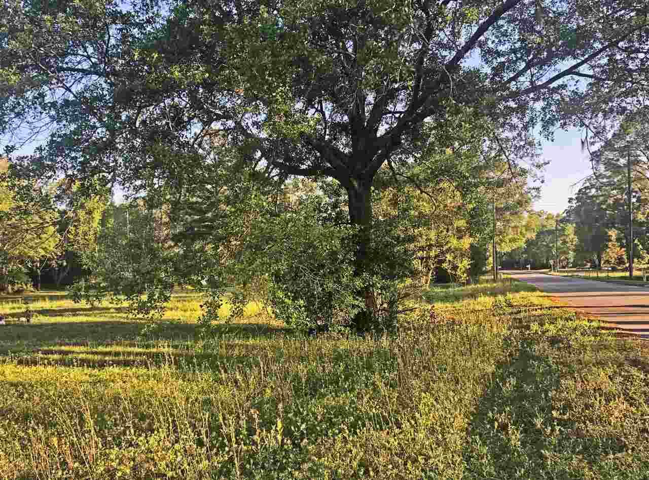505 Morris Road - Photo 1