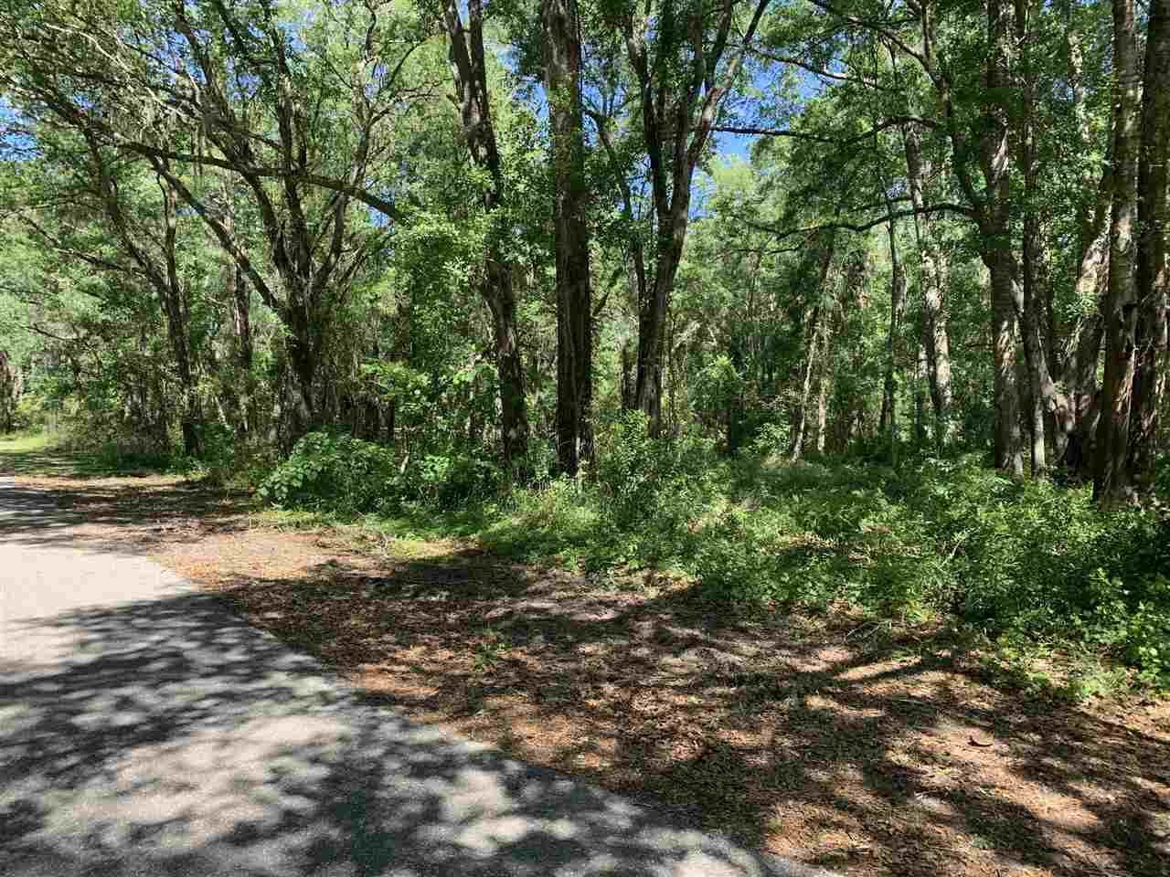 109 El Primeros Drive - Photo 1