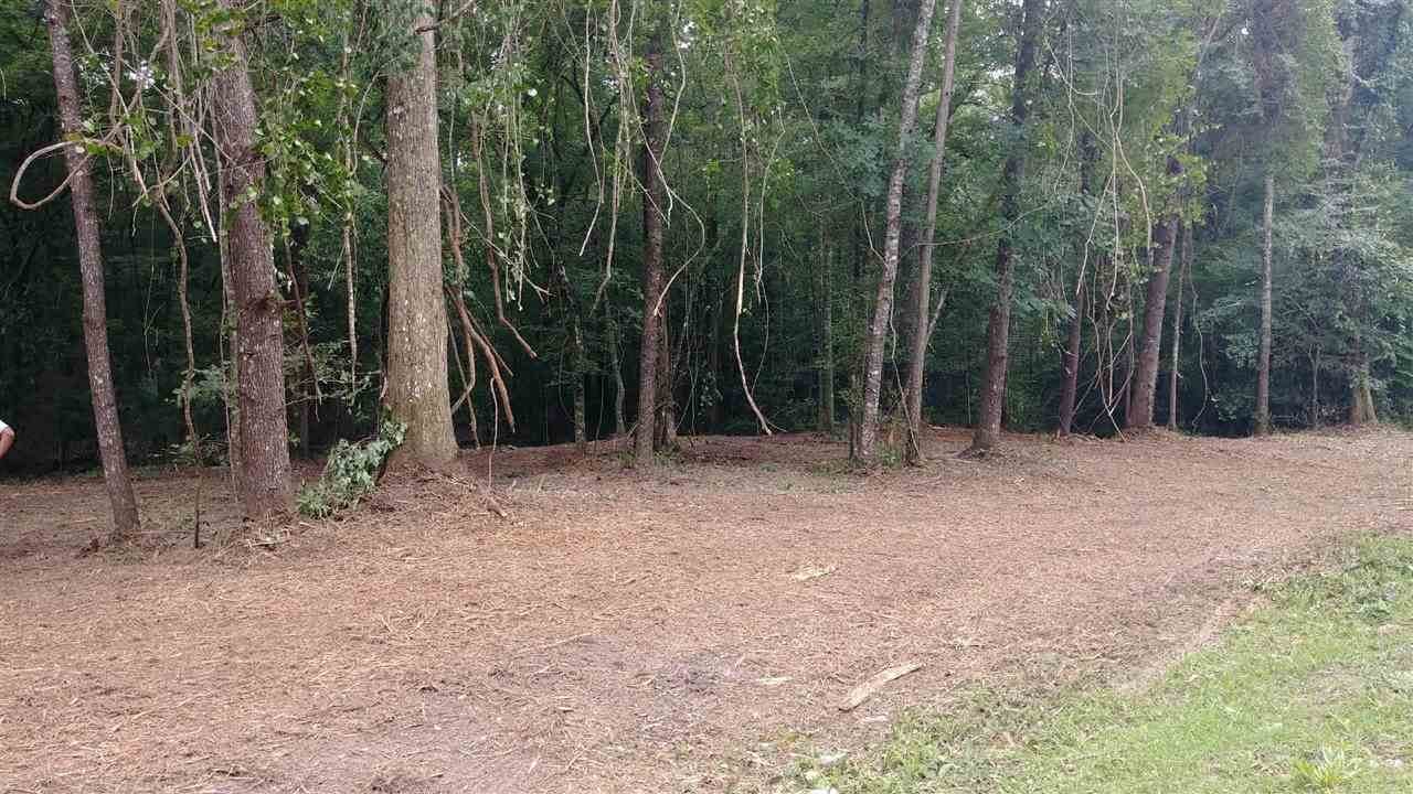 XX River Plantation Road - Photo 1
