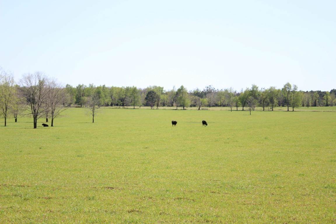 TBD St. Augustine Road - Photo 1