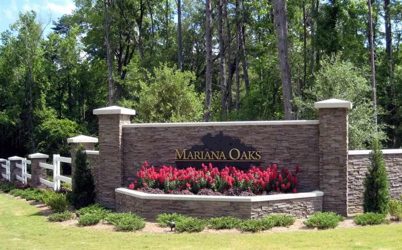 2B - II Mariana Oaks Drive - Photo 1