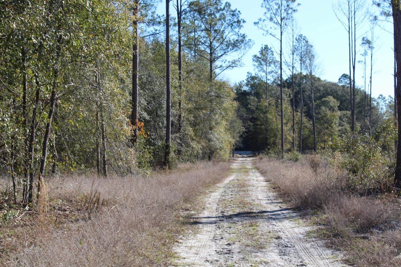 TBD 209th Court - Photo 1