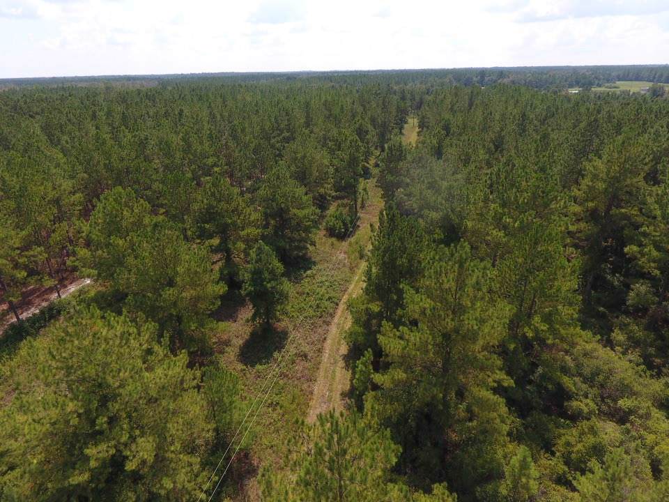 6779 1 Federal Road - Photo 1