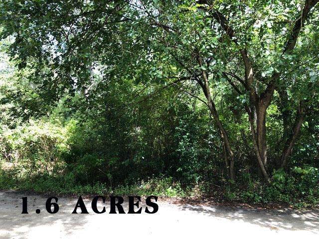 8568 Wide Road - Photo 1