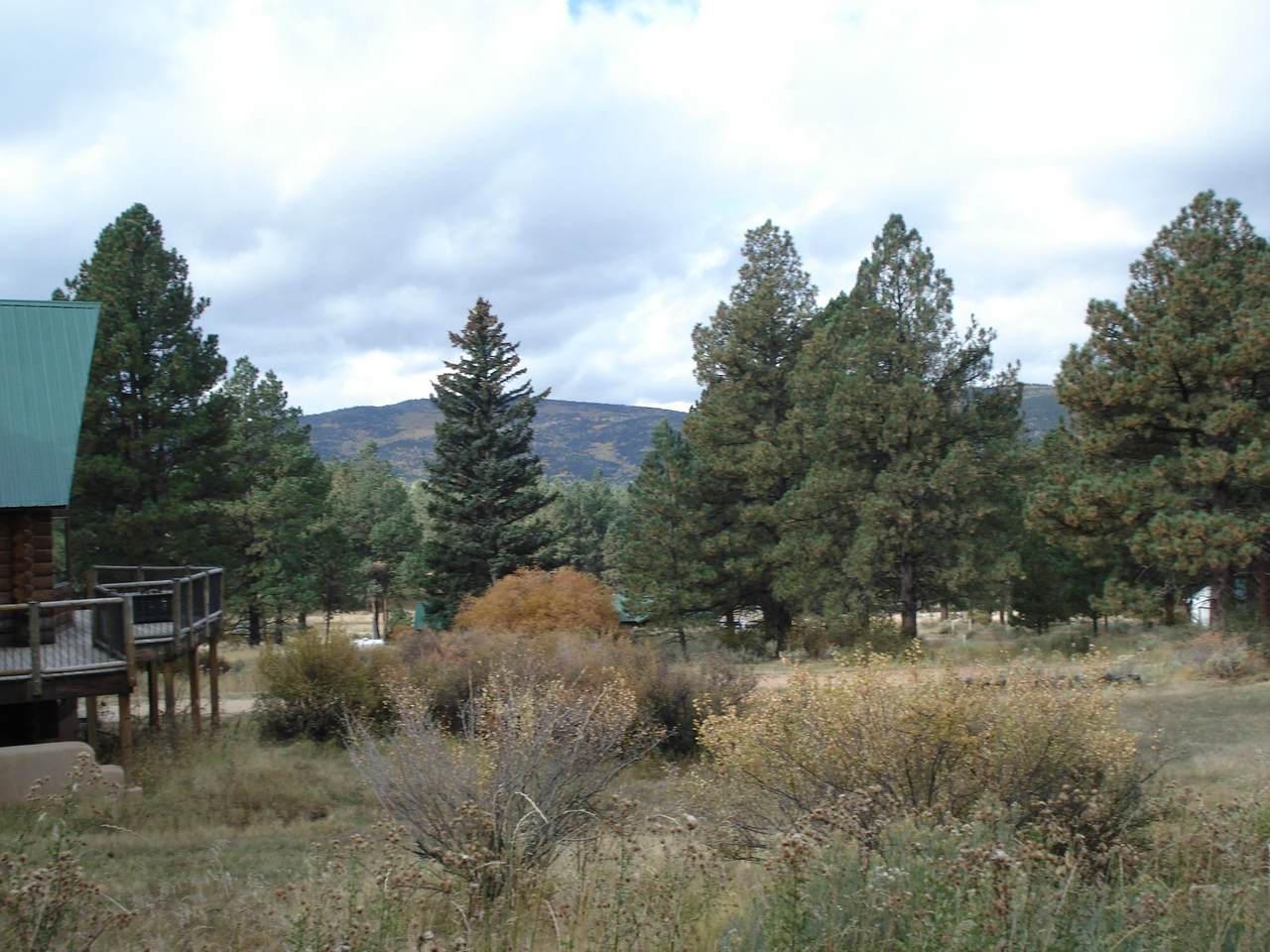 Lot 85 Mammoth Mountain Road - Photo 1