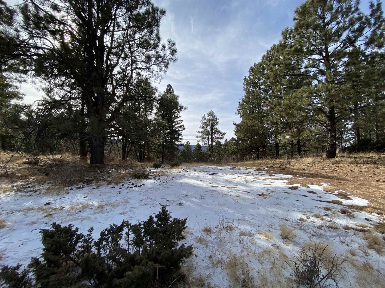 Lot 216 Peak Place - Photo 1