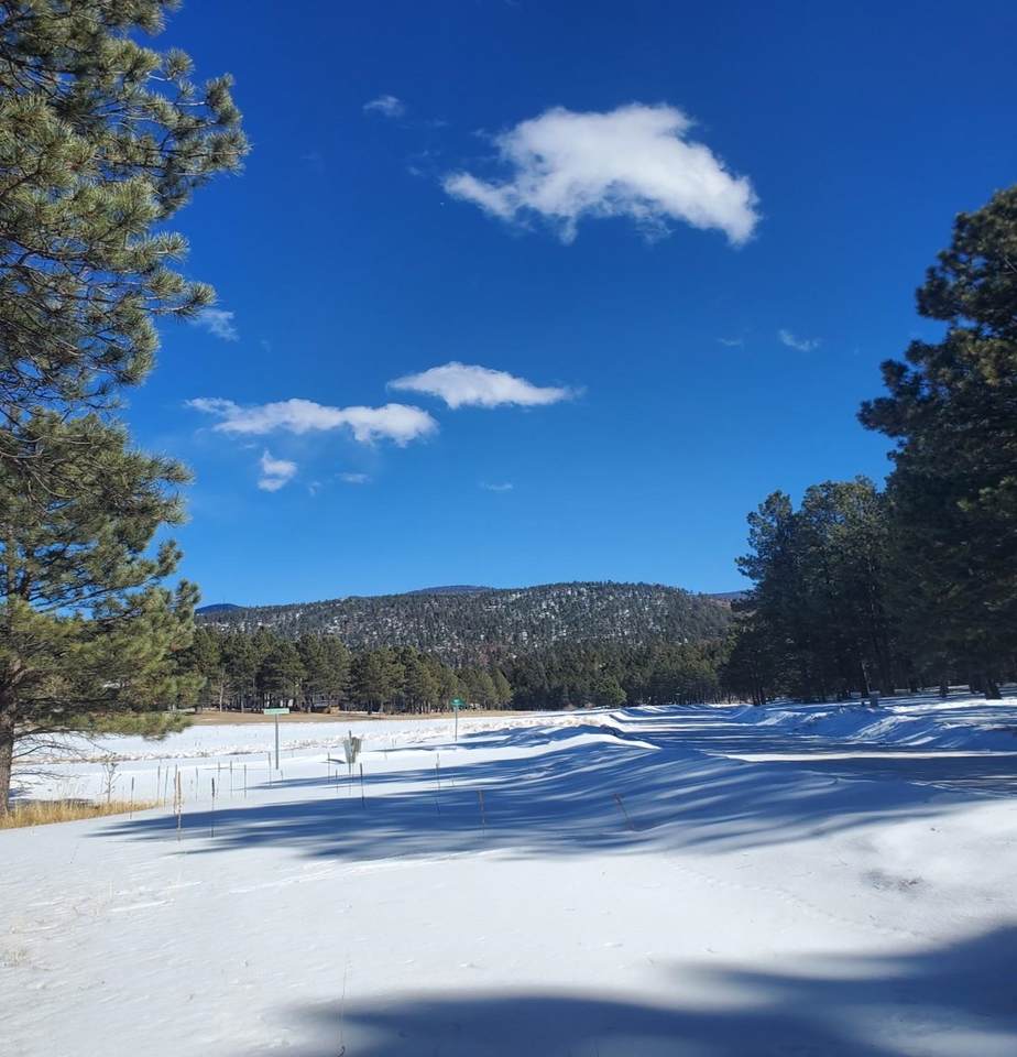 Lot 657 Martinez Terrace - Photo 1
