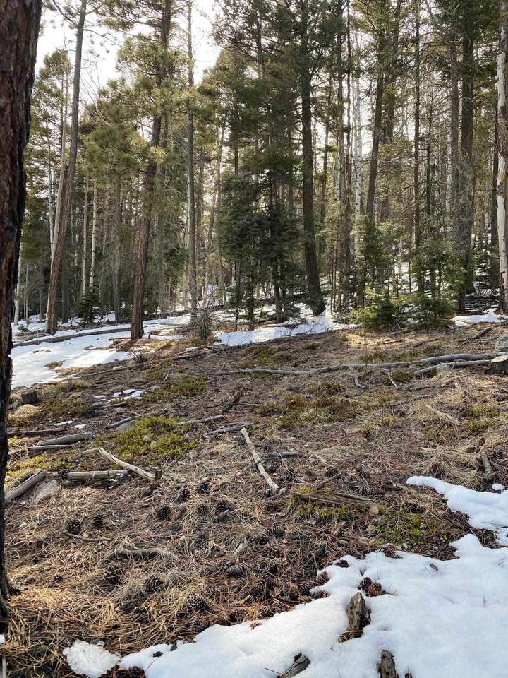 Lot 1453 Peralta - Photo 1