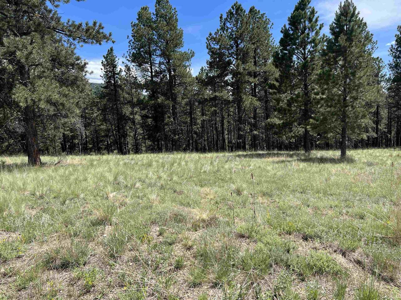 Lot 50 Valley Rd - Photo 1